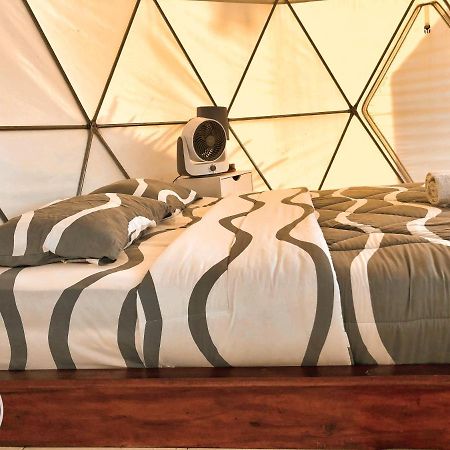 Igloo Glamping Bali 호텔 킨타마니 외부 사진