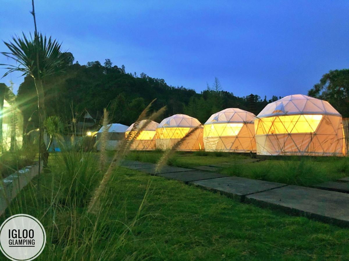 Igloo Glamping Bali 호텔 킨타마니 외부 사진