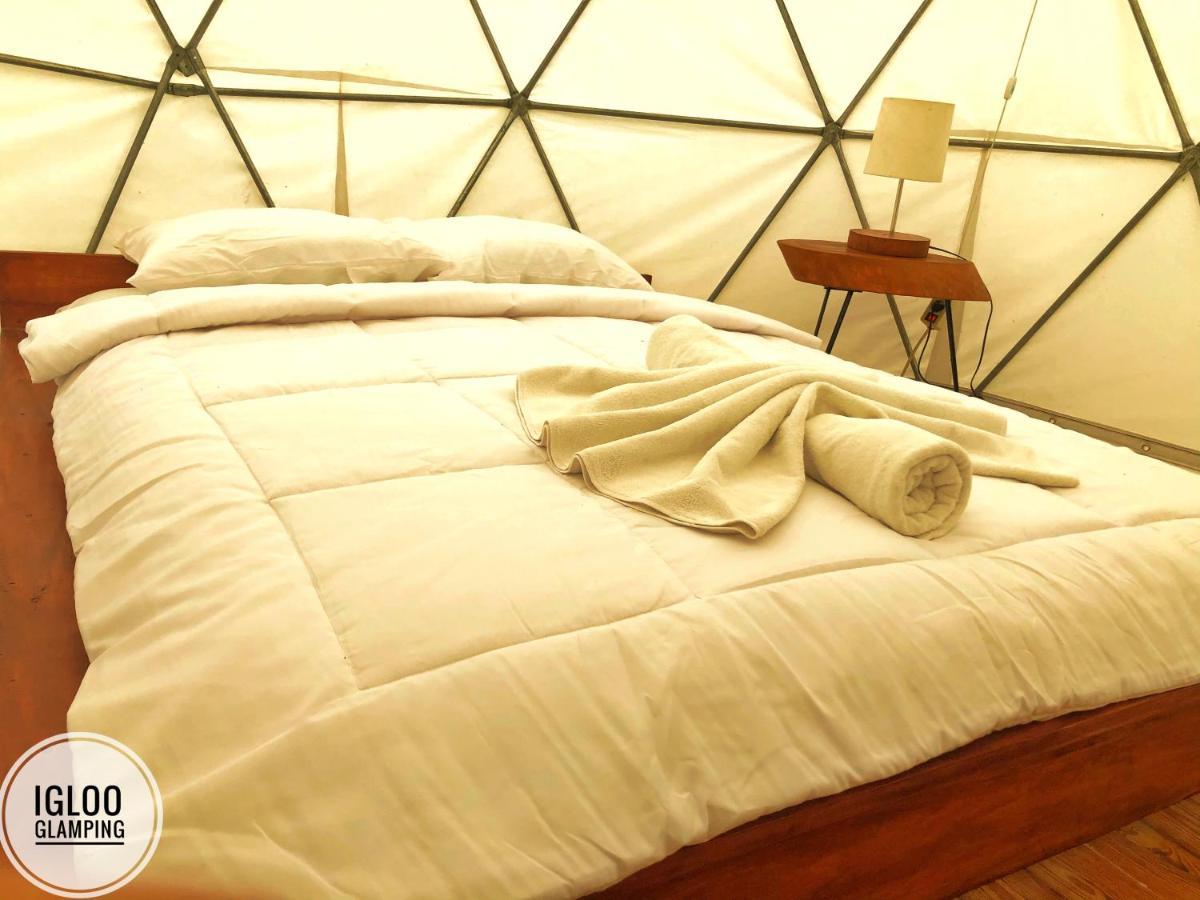 Igloo Glamping Bali 호텔 킨타마니 외부 사진