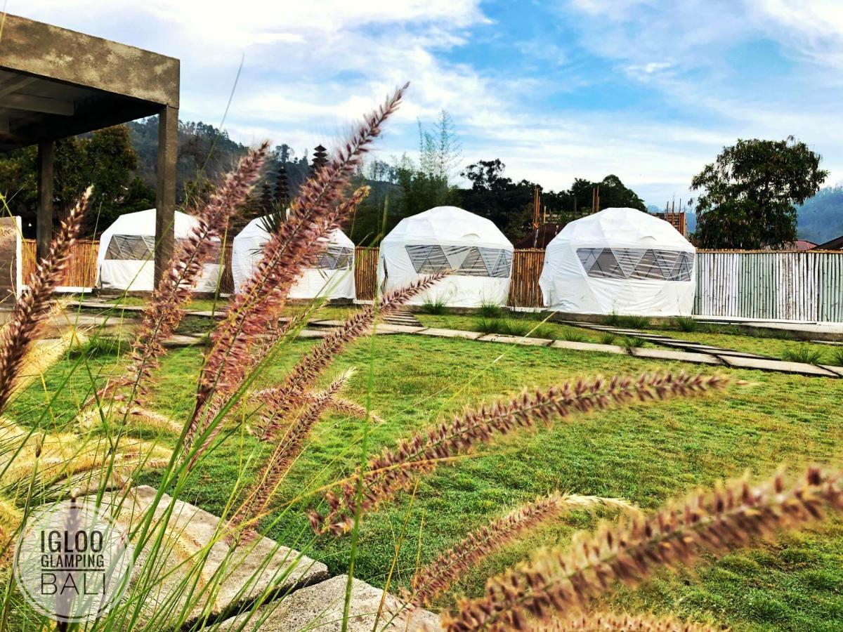 Igloo Glamping Bali 호텔 킨타마니 외부 사진