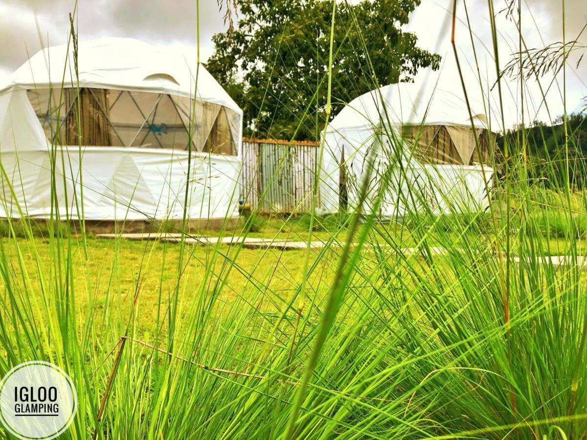 Igloo Glamping Bali 호텔 킨타마니 외부 사진