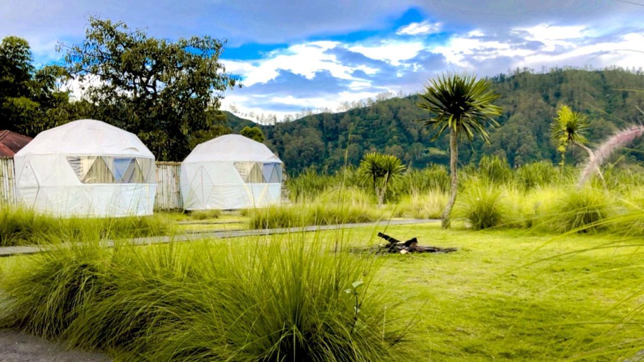 Igloo Glamping Bali 호텔 킨타마니 외부 사진